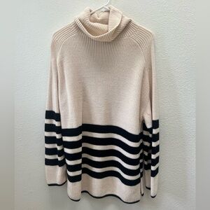 Cos Turtleneck Sweater